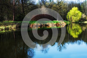 Spring scene in the park, reflection in watrer