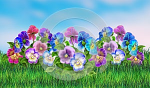 Spring scene poster, Landscape Violet Pansy flowers Viola Tricolor watercolor illustration