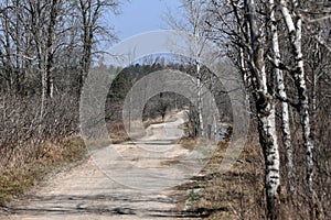 Spring scene of a winding country dirt road
