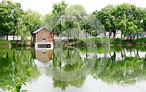 Spring scenery of ecological wetland photo