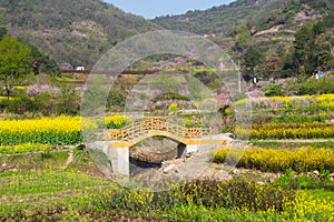 Spring scenery of Hubei Daye Zhaoshan Forest Park