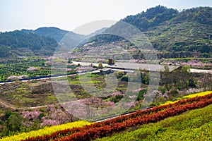 Spring scenery of Hubei Daye Zhaoshan Forest Park