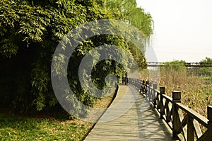 The spring scenery of Suzhou,China.