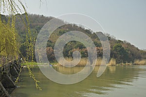 The spring scenery of Taihu Lake at Wuxi,China.