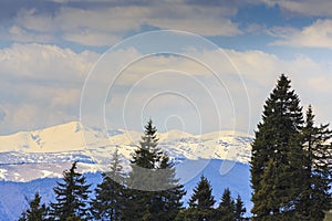 Spring scenery in the Transylvanian Alps, with snow and pine forests