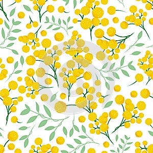 Spring seamless Full vector pattern texture illustration with branches of mimosa flowers