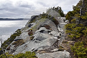 Spring seascape along the Father Troy`s Trail in Newfoundland Canada, near Flatrock