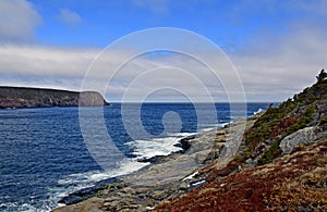 Spring seascape along the Father Troy`s Trail in Newfoundland Canada, near Flatrock