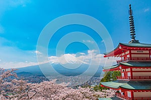 Spring season at Chureito pagoda with sakura cherry blossom and Fuji mountain in Japan