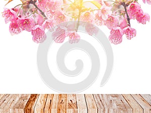 Spring season designed background