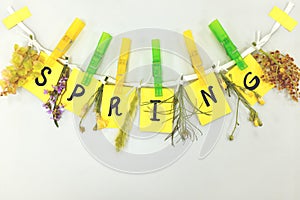 Spring season is here hanging wall decoration. Flowers and bright yellow colored paper cutouts clipped on a lace.