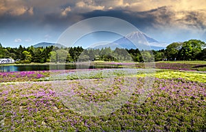 Spring season in japan with fuji mountain as background