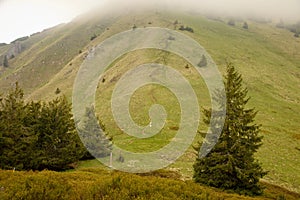 Mountain saddle in the national park Mala Fatra, Slovakia