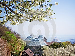 Spring season at Nunobiki herb garden in Kobe photo