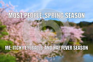 Spring season pollen allergy