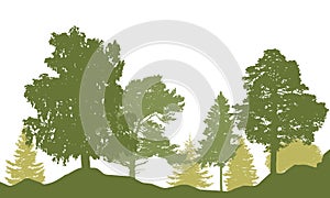 Spring season. Silhouette of beautiful forest. Different trees, birch, fir, pine, coniferous trees. Vector illustration