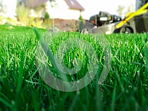 Spring season sunny lawn mowing in the garden. Lawn blur with soft light for background