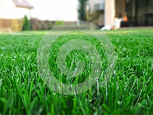 Spring season sunny lawn mowing in the garden. Lawn blur with soft light for background