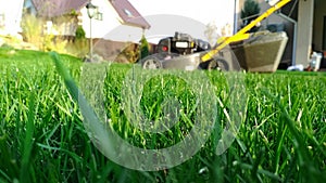 Spring season sunny lawn mowing in the garden. Lawn blur with soft light for background