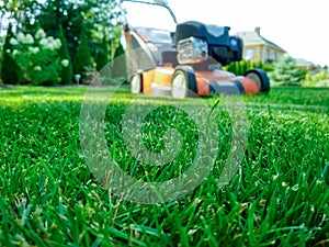 Spring season sunny lawn mowing in the garden. lawn mower on the lawn