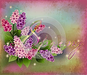 Spring seasonal background with lilac flowers. vector
