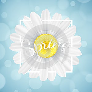 Spring seasonal banner. Chamomile flower in white frame on blue background with lights bokeh. Graphic object for your design. Seas