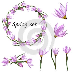 Spring set of floral patterns, ornaments and vector wreaths of delicate pink flowers to decorate cards and greetings