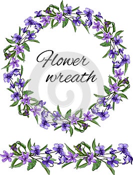 Spring set of floral patterns, ornaments and vector wreaths of delicate violet flowers to decorate cards, design greetings