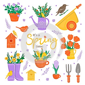 Spring set with flowers and gardening tools.