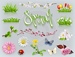 Spring set. Grass and flowers. vector icon