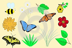 Spring set. Vector elements for design, spring paraphernalia. Flowers bees leaves branch butterfly. Flat