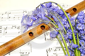 Spring Sheet Music And Bluebell Flowers