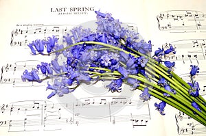 Spring Sheet Music And Bluebell Flowers