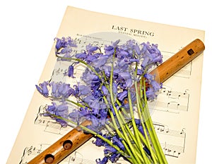 Spring Sheet Music And Bluebell Flowers