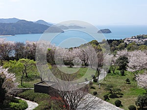 Spring at Shiranui sea