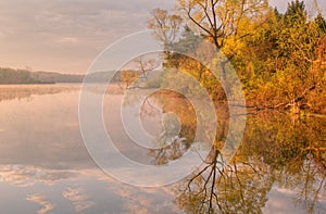 Spring Shoreline