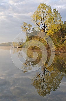 Spring Shoreline