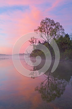 Spring Shoreline at Dawn