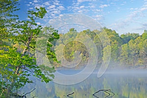 Spring Shoreline Eagle Lake in Fog