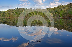 Spring Shoreline Hall Lake