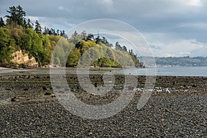 Spring Shoreline Landscape