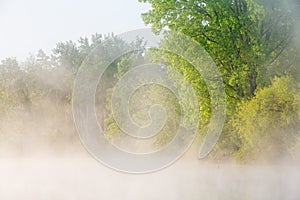 Spring Shoreline at Sunrise