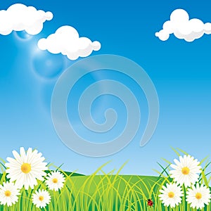 Spring Sky Background