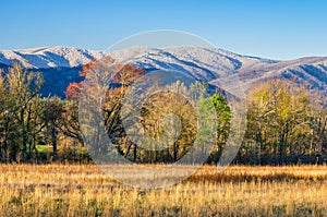 Spring snow, Cades Cove, Great Smoky Mountains