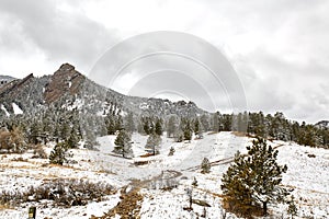 Spring Snow Storm in Chautauqua Park