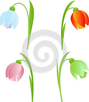 Spring Snowdrop Flowers Illustrations