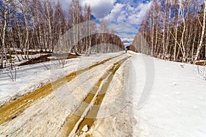 Spring snowy road through a birch forest.