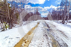 Spring snowy road through a birch forest.
