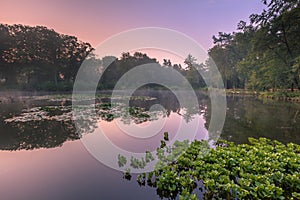 Spring source pond