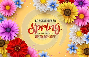 Spring special offer vector banner background with spring season sale text and colorful chrysanthemum